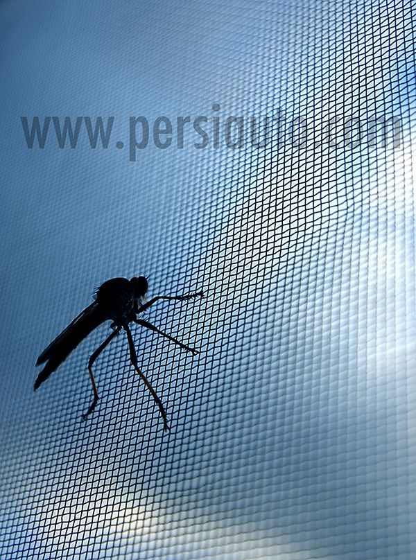 Instalación mosquiteras Barcelona Mosquiteras Barcelona Persiauto